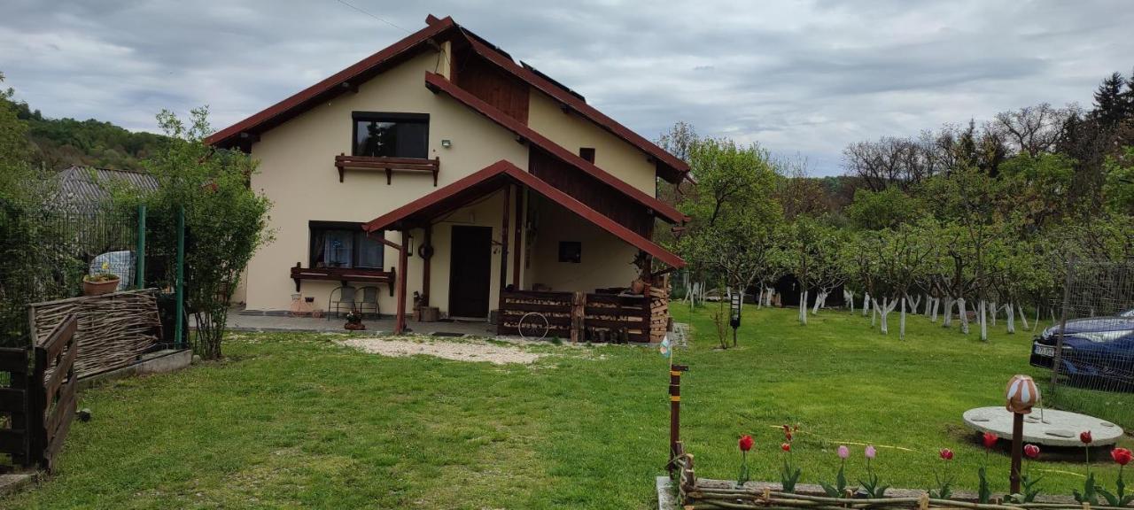 Cottage In Traditional Village Bradulet, Arges County Exterior foto